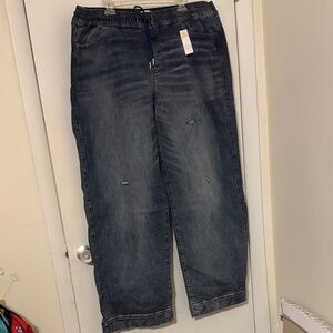 Lane Bryant Dark Blue Distressed Jeans